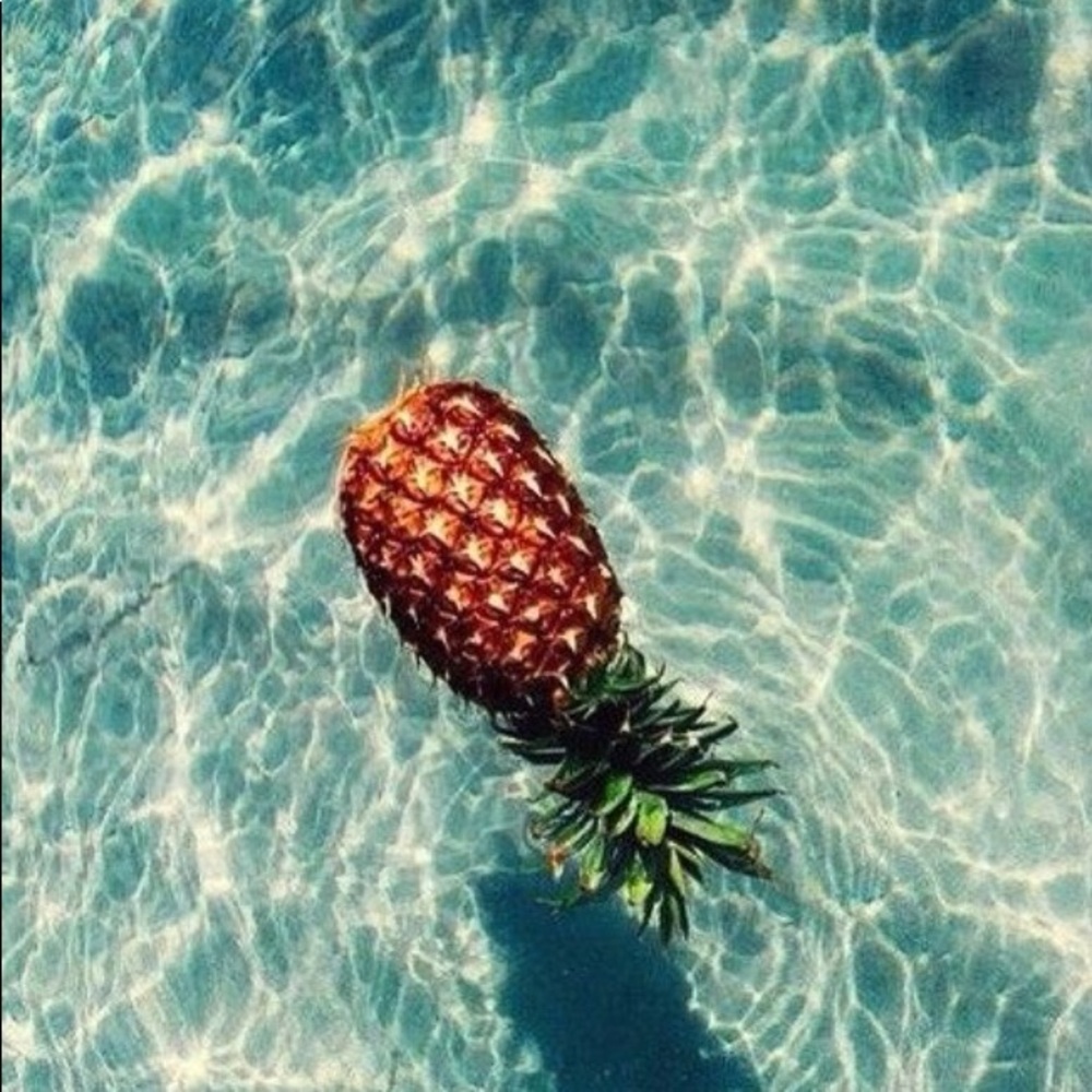 Meet your Posher, Ava